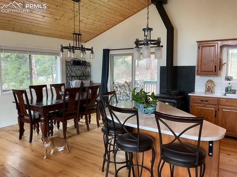 Tiny photo for 4041 Trout Creek Road, Woodland Park, CO 80863 (MLS # 6218834)