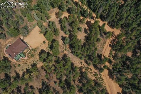 Tiny photo for 4041 Trout Creek Road, Woodland Park, CO 80863 (MLS # 6218834)