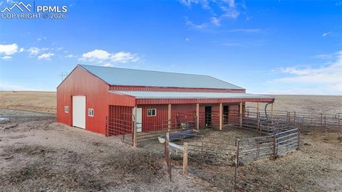 Tiny photo for 9785 N Rush Road, Rush, CO 80833 (MLS # 5350803)