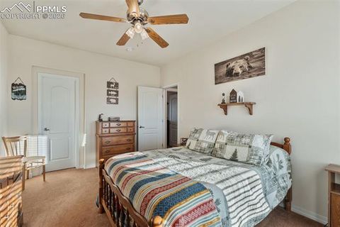 Tiny photo for 9785 N Rush Road, Rush, CO 80833 (MLS # 5350803)
