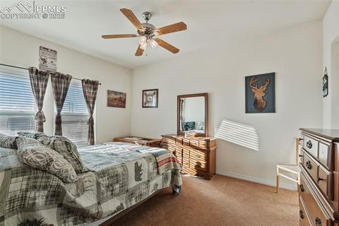 Tiny photo for 9785 N Rush Road, Rush, CO 80833 (MLS # 5350803)