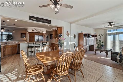 Tiny photo for 9785 N Rush Road, Rush, CO 80833 (MLS # 5350803)