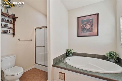 Tiny photo for 9785 N Rush Road, Rush, CO 80833 (MLS # 5350803)