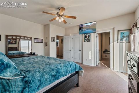 Tiny photo for 9785 N Rush Road, Rush, CO 80833 (MLS # 5350803)