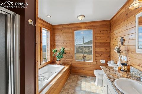 Tiny photo for 400 W Shideler Avenue, Cripple Creek, CO 80813 (MLS # 9678038)