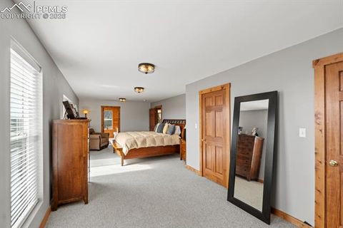 Tiny photo for 400 W Shideler Avenue, Cripple Creek, CO 80813 (MLS # 9678038)