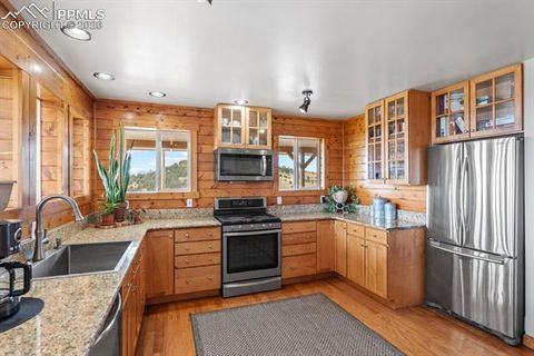 Tiny photo for 400 W Shideler Avenue, Cripple Creek, CO 80813 (MLS # 9678038)