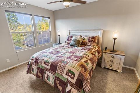 Tiny photo for 718 Misty Pines Circle, Woodland Park, CO 80863 (MLS # 9710374)