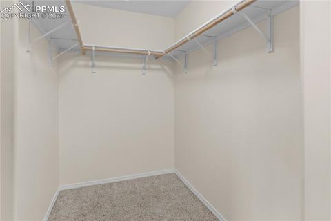 Tiny photo for 718 Misty Pines Circle, Woodland Park, CO 80863 (MLS # 9710374)