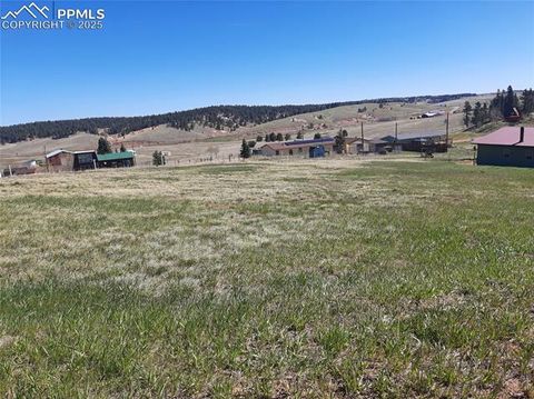 149 Will Scarlet Drive Divide CO 80814