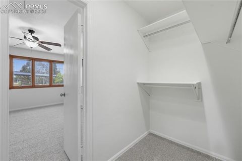 Tiny photo for 4318 Hopeful Way, Colorado Springs, CO 80917 (MLS # 6181106)