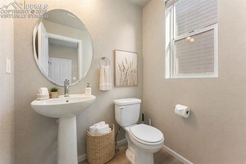 Tiny photo for 11418 Whistling Duck Way, Colorado Springs, CO 80925 (MLS # 4637262)