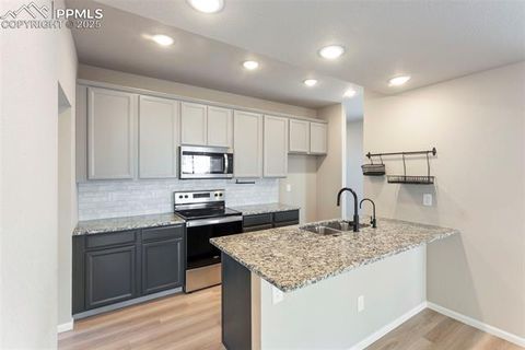 Tiny photo for 11418 Whistling Duck Way, Colorado Springs, CO 80925 (MLS # 4637262)