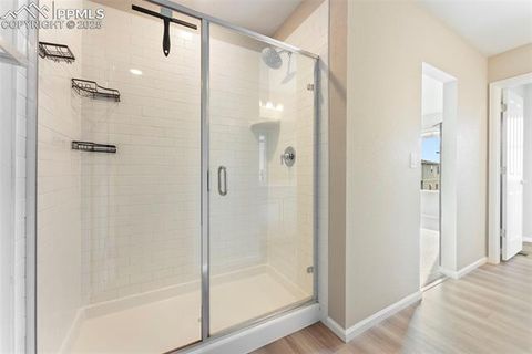 Tiny photo for 11418 Whistling Duck Way, Colorado Springs, CO 80925 (MLS # 4637262)