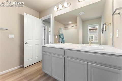 Tiny photo for 11418 Whistling Duck Way, Colorado Springs, CO 80925 (MLS # 4637262)