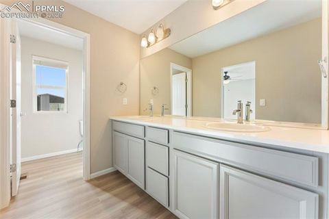 Tiny photo for 11418 Whistling Duck Way, Colorado Springs, CO 80925 (MLS # 4637262)