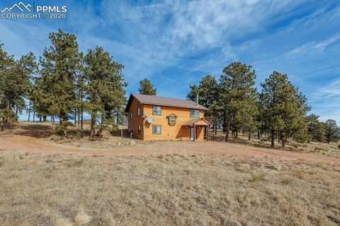 Photo of 345 Meadow Lane, Guffey, CO 80820 (MLS # 9143755)