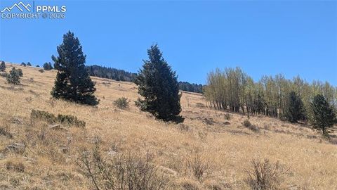 Photo of 1960 Troy Drive, Cripple Creek, CO 80813 (MLS # 6578148)