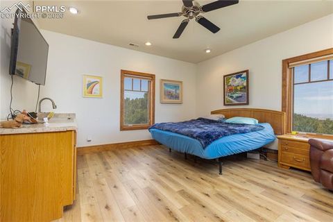 Tiny photo for 8716 National Forest Drive, Beulah, CO 81023 (MLS # 1499775)