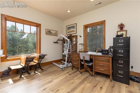 Tiny photo for 8716 National Forest Drive, Beulah, CO 81023 (MLS # 1499775)