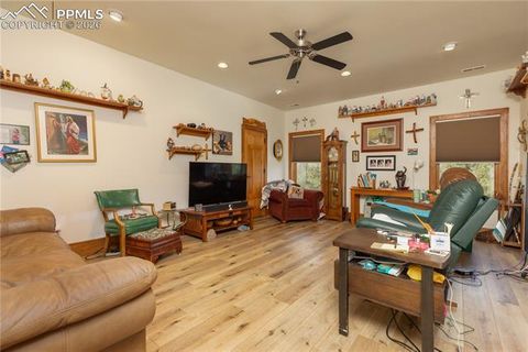 Tiny photo for 8716 National Forest Drive, Beulah, CO 81023 (MLS # 1499775)