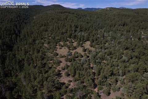 Tiny photo for 8716 National Forest Drive, Beulah, CO 81023 (MLS # 1499775)