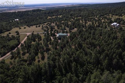 Tiny photo for 8716 National Forest Drive, Beulah, CO 81023 (MLS # 1499775)