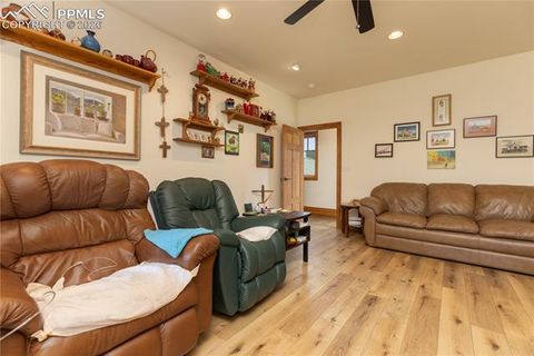 Tiny photo for 8716 National Forest Drive, Beulah, CO 81023 (MLS # 1499775)