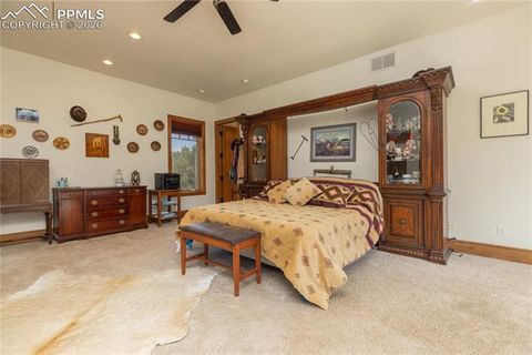 Tiny photo for 8716 National Forest Drive, Beulah, CO 81023 (MLS # 1499775)