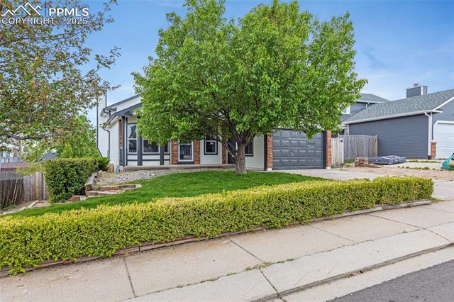4465 Archwood Drive