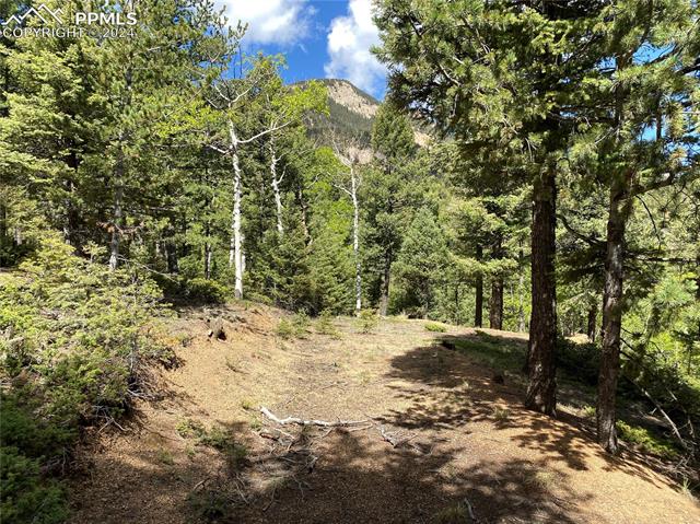 210 Waterfall Loop