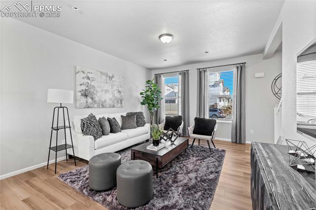 9361 Twin Sisters Drive