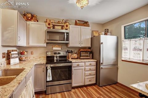 Tiny photo for 560 Manor Court #A, Woodland Park, CO 80863 (MLS # 5001218)