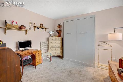 Tiny photo for 560 Manor Court #A, Woodland Park, CO 80863 (MLS # 5001218)