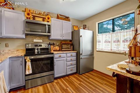 Tiny photo for 560 Manor Court #A, Woodland Park, CO 80863 (MLS # 5001218)