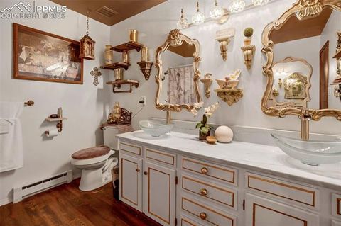 Tiny photo for 560 Manor Court #A, Woodland Park, CO 80863 (MLS # 5001218)