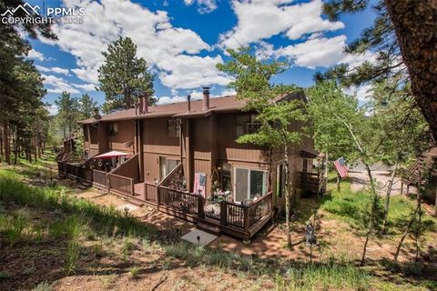 Tiny photo for 560 Manor Court #A, Woodland Park, CO 80863 (MLS # 5001218)