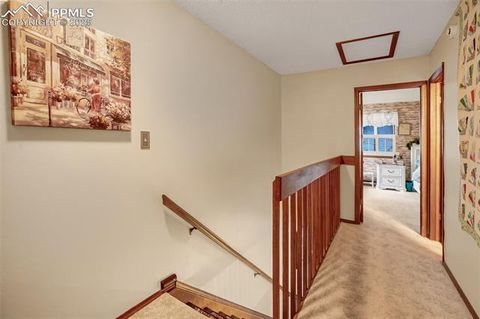 Tiny photo for 560 Manor Court #A, Woodland Park, CO 80863 (MLS # 5001218)