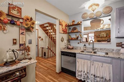 Tiny photo for 560 Manor Court #A, Woodland Park, CO 80863 (MLS # 5001218)