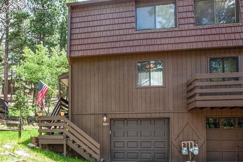 Tiny photo for 560 Manor Court #A, Woodland Park, CO 80863 (MLS # 5001218)
