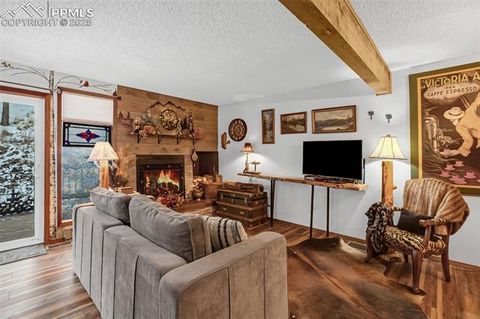 Tiny photo for 560 Manor Court #A, Woodland Park, CO 80863 (MLS # 5001218)