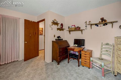 Tiny photo for 560 Manor Court #A, Woodland Park, CO 80863 (MLS # 5001218)