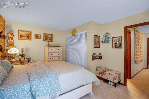 Tiny photo for 560 Manor Court #A, Woodland Park, CO 80863 (MLS # 5001218)