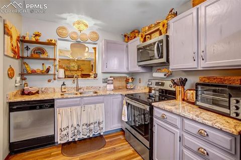 Tiny photo for 560 Manor Court #A, Woodland Park, CO 80863 (MLS # 5001218)