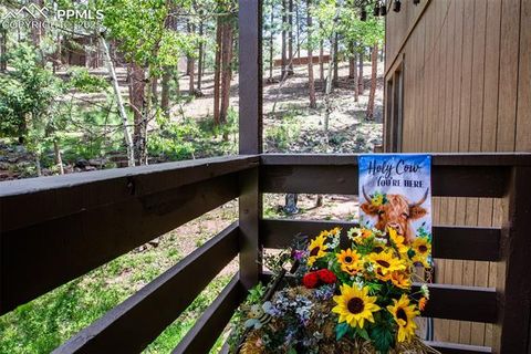 Tiny photo for 560 Manor Court #A, Woodland Park, CO 80863 (MLS # 5001218)