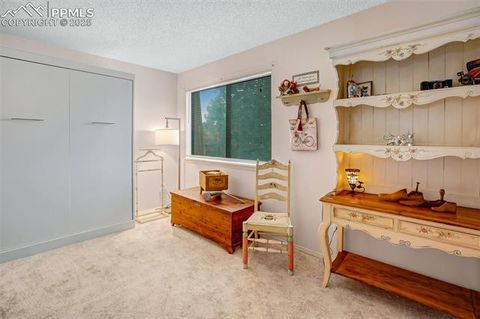 Tiny photo for 560 Manor Court #A, Woodland Park, CO 80863 (MLS # 5001218)