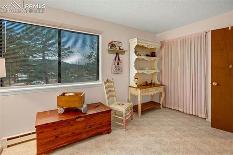 Tiny photo for 560 Manor Court #A, Woodland Park, CO 80863 (MLS # 5001218)