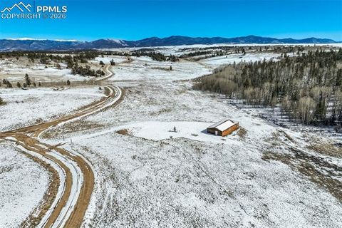 Photo of 538 Remington Road, Como, CO 80432 (MLS # 4839739)
