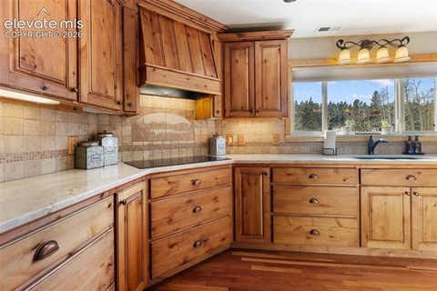 Tiny photo for 2809 Edlowe Road, Woodland Park, CO 80863 (MLS # 2776644)
