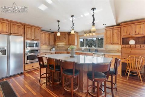 Tiny photo for 2809 Edlowe Road, Woodland Park, CO 80863 (MLS # 2776644)